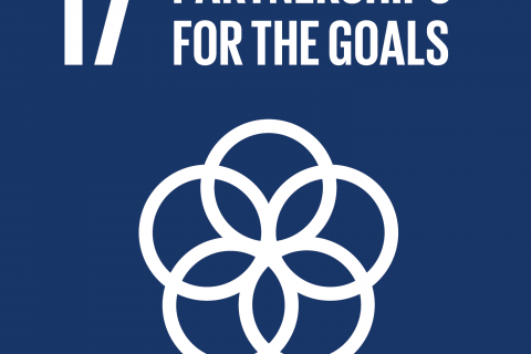 E_SDG goals_icons-individual-rgb-17